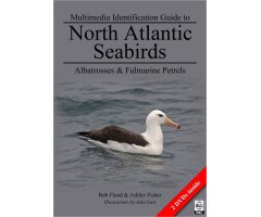 MULTIMEDIA IDENTIFICATION GUIDE TO NORTH ATLANTIC SEABIRDS: ALBATROSSES AND FULMARINE PETRELS