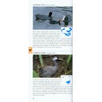 POCKET PHOTO GUIDE TO THE BIRDS OF CHINA_1