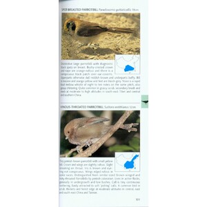 POCKET PHOTO GUIDE TO THE BIRDS OF CHINA 4
