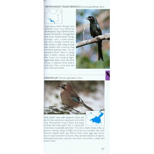 POCKET PHOTO GUIDE TO THE BIRDS OF CHINA 5