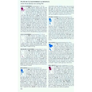 A FIELD GUIDE TO THE BIRDS OF THAILAND 3