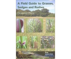 A FIELD GUIDE TO GRASSES, SEDGES AND RUSHES    