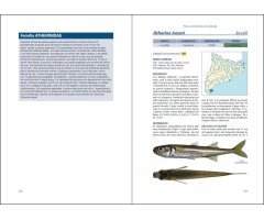 PEIXOS CONTINENTALS DE CATALUNYA. ECOLOGIA, CONSERVACIÓ I GUIA D'IDENTIFICACIÓ 2