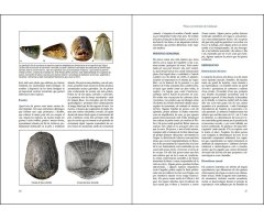 PEIXOS CONTINENTALS DE CATALUNYA. ECOLOGIA, CONSERVACIÓ I GUIA D'IDENTIFICACIÓ 4