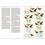 BIRDS OF THE INDONESIAN ARCHIPELAGO. GREATER SUNDAS AND WALLACEA 2
