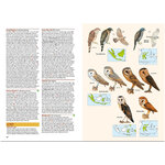 BIRDS OF THE INDONESIAN ARCHIPELAGO. GREATER SUNDAS AND WALLACEA 4
