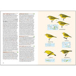 BIRDS OF THE INDONESIAN ARCHIPELAGO. GREATER SUNDAS AND WALLACEA 7