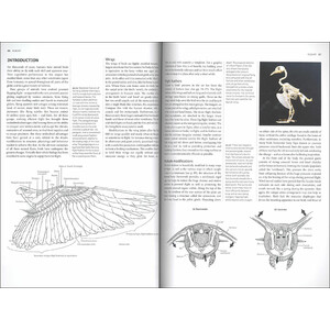 BIRDS. A COMPLETE GUIDE TO THEIR BIOLOGY AND BEHAVIOUR 3