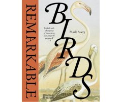 REMARKABLE BIRDS
