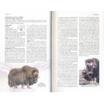 THE ARCTIC GUIDE. WILDLIFE OF THE FAR NORTH_1