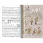 THE ARCTIC GUIDE. WILDLIFE OF THE FAR NORTH 3