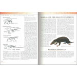 THE PRINCETON FIELD GUIDE TO PREHISTORIC MAMMALS 2