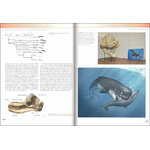 THE PRINCETON FIELD GUIDE TO PREHISTORIC MAMMALS 3