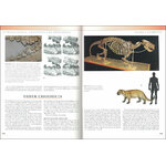 THE PRINCETON FIELD GUIDE TO PREHISTORIC MAMMALS 4
