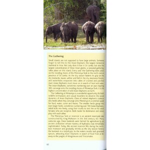 POCKET PHOTO GUIDE TO THE MAMMALS OF SRI LANKA 3