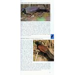 POCKET PHOTO GUIDE TO THE BIRDS OF VIETNAM, CAMBODIA AND LAOS 2