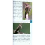 POCKET PHOTO GUIDE TO THE BIRDS OF VIETNAM, CAMBODIA AND LAOS 4