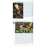 POCKET PHOTO GUIDE TO THE BIRDS OF VIETNAM, CAMBODIA AND LAOS 5