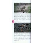 POCKET PHOTO GUIDE TO THE BIRDS OF BORNEO: SABAH, SARAWAK, BRUNEI AND KALIMANTAN 2