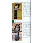 POCKET PHOTO GUIDE TO THE BIRDS OF BORNEO: SABAH, SARAWAK, BRUNEI AND KALIMANTAN 3