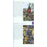 POCKET PHOTO GUIDE TO THE BIRDS OF BORNEO: SABAH, SARAWAK, BRUNEI AND KALIMANTAN 5