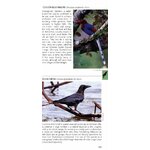 POCKET PHOTO GUIDE TO THE BIRDS OF SRI LANKA 2