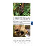 POCKET PHOTO GUIDE TO THE BIRDS OF SRI LANKA 4