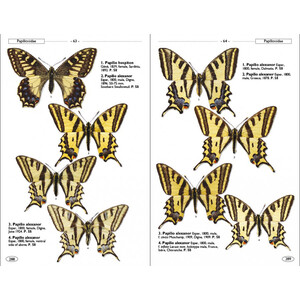BUTTERFLIES OF EUROPE AND NEIGHBOURING REGIONS 3