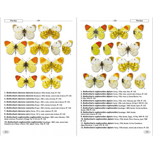 BUTTERFLIES OF EUROPE AND NEIGHBOURING REGIONS 4