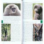 POCKET PHOTO GUIDE TO THE MAMMALS OF SOUTH-EAST ASIA 3
