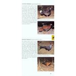 POCKET PHOTO GUIDE TO THE BIRDS OF THAILAND_1