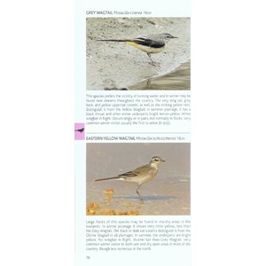 POCKET PHOTO GUIDE TO THE BIRDS OF THAILAND 3