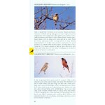 POCKET PHOTO GUIDE TO THE BIRDS OF THE HIMALAYAS 4
