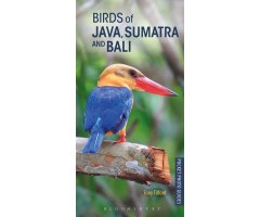POCKET PHOTO GUIDE TO THE BIRDS OF JAVA, SUMATRA AND BALI