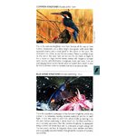 POCKET PHOTO GUIDE TO THE BIRDS OF JAVA, SUMATRA AND BALI_1
