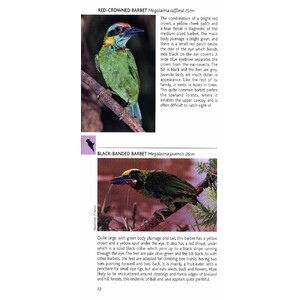 POCKET PHOTO GUIDE TO THE BIRDS OF JAVA, SUMATRA AND BALI 3