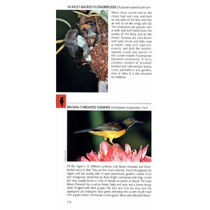 POCKET PHOTO GUIDE TO THE BIRDS OF JAVA, SUMATRA AND BALI 4
