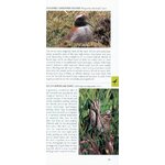 POCKET PHOTO GUIDE TO THE BIRDS OF PERU 3