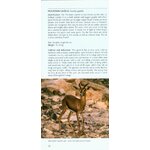 POCKET PHOTO GUIDE TO THE MAMMALS OF NORTH AFRICA AND THE MIDDLE EAST_1