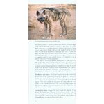 POCKET PHOTO GUIDE TO THE MAMMALS OF NORTH AFRICA AND THE MIDDLE EAST 3