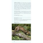 POCKET PHOTO GUIDE TO THE MAMMALS OF NORTH AFRICA AND THE MIDDLE EAST 4