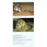 POCKET PHOTO GUIDE TO THE MAMMALS OF NORTH AFRICA AND THE MIDDLE EAST 5