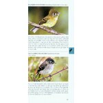 POCKET PHOTO GUIDE TO THE BIRDS OF COSTA RICA 5