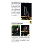 POCKET PHOTO GUIDE TO THE BIRDS OF THE WEST INDIES 3