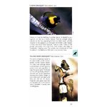 POCKET PHOTO GUIDE TO THE BIRDS OF THE WEST INDIES 4