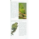 POCKET PHOTO GUIDE TO THE BIRDS OF ECUADOR AND GALAPAGOS 3