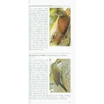 POCKET PHOTO GUIDE TO THE BIRDS OF ECUADOR AND GALAPAGOS 4