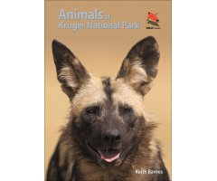 ANIMALS OF KRUGER NATIONAL PARK