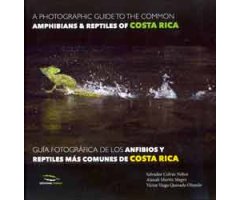 GUÍA FOTOGRÁFICA DE LOS ANFIBIOS Y REPTILES MÁS COMUNES DE COSTA RICA