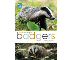 RSPB SPOTLIGHT: BADGERS
